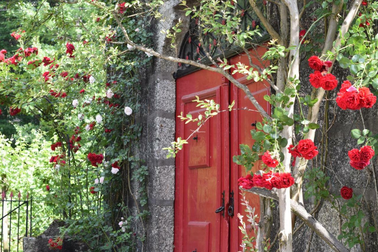Villa Margaridi ギマランイス エクステリア 写真