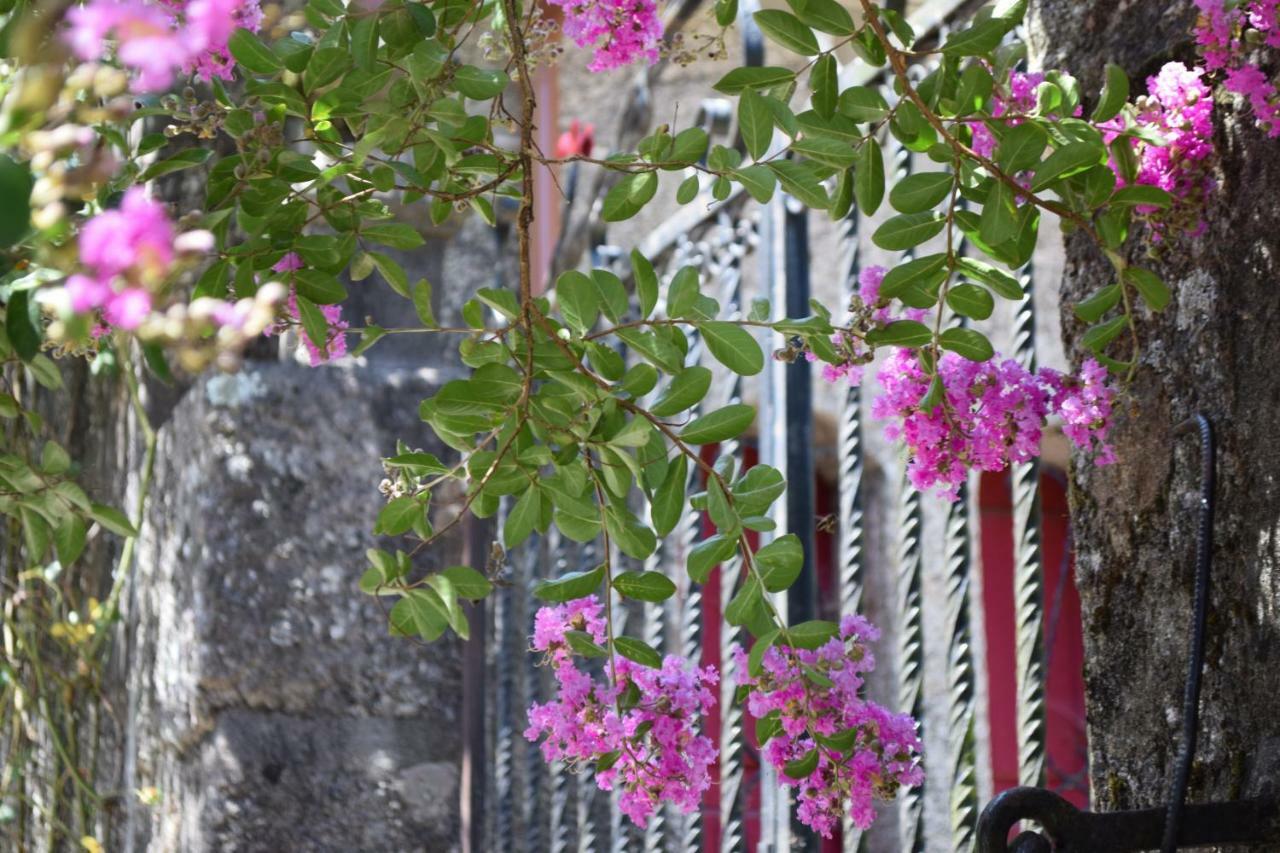 Villa Margaridi ギマランイス エクステリア 写真